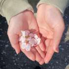 5月より日中一時支援はじめます。